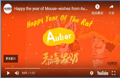 happy the year of mouse!